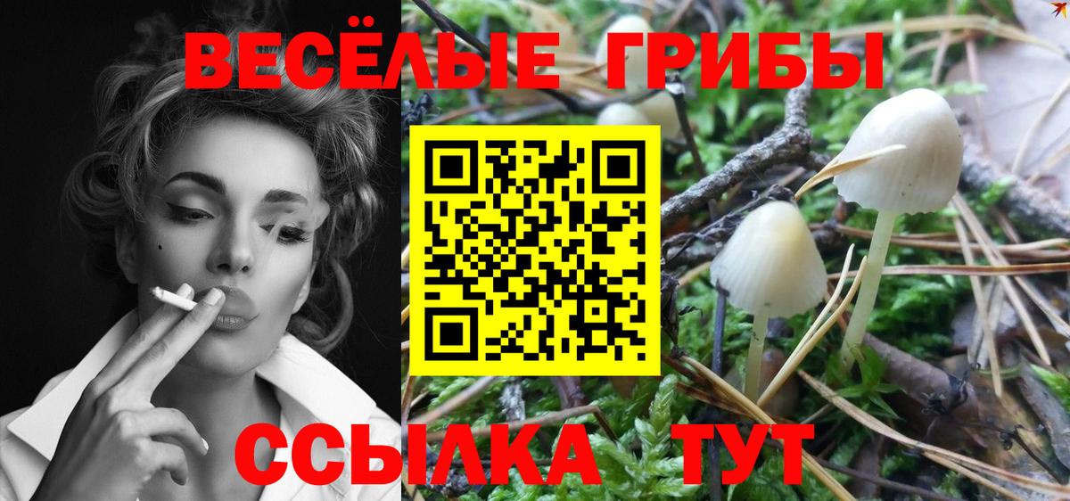 Кропоткин  Галлюциногенные грибы ЛСД  Вход с VPN 